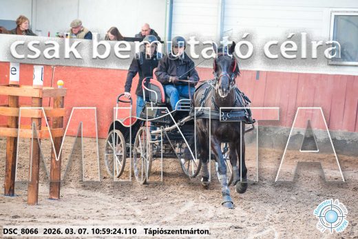 Mintakép 20260307-458