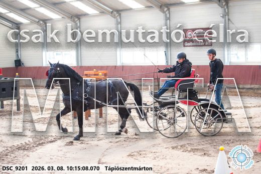 Mintakép 20260308-58