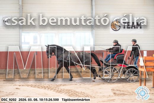 Mintakép 20260308-59