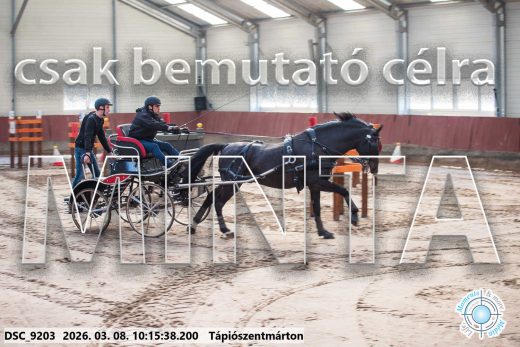 Mintakép 20260308-60