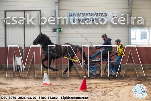20260307-110234-DSC_8070.jpg