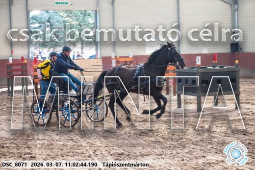20260307-110244-DSC_8071.jpg