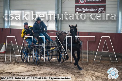 Mintakép 20260307-466