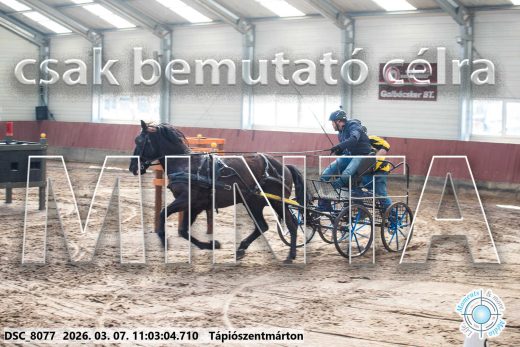 Mintakép 20260307-467