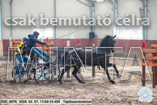 Mintakép 20260307-468