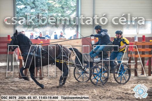 Mintakép 20260307-469