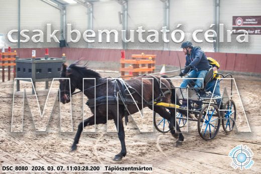 Mintakép 20260307-470