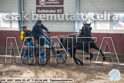 Mintakép 20260307-471