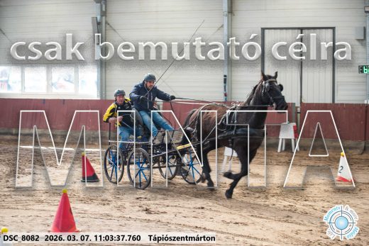Mintakép 20260307-472