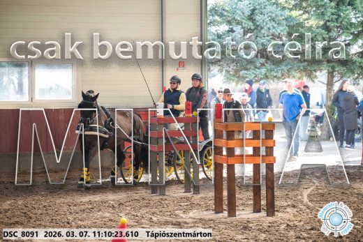 20260307-111023-DSC_8091.jpg