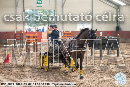 20260307-111030-DSC_8093.jpg
