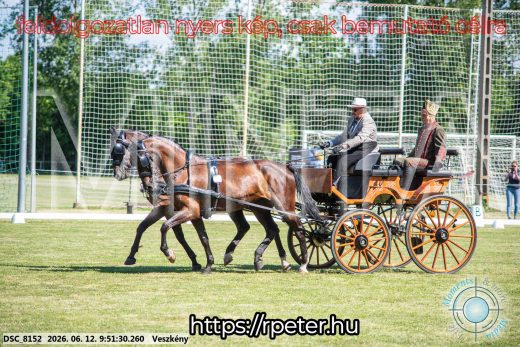 Mintakép 20260612-341