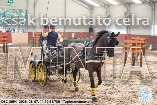 Mintakép 20260307-476