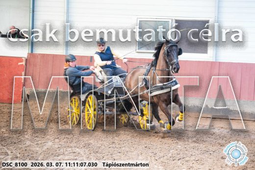 Mintakép 20260307-481