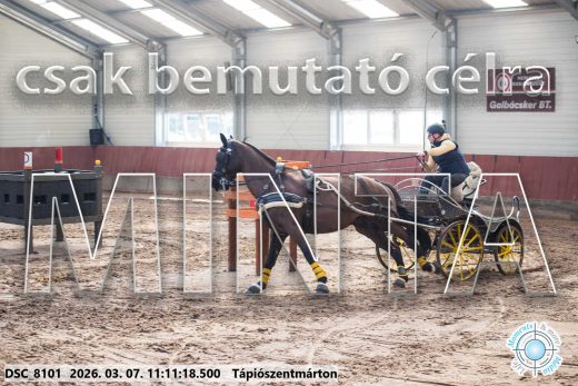 Mintakép 20260307-482