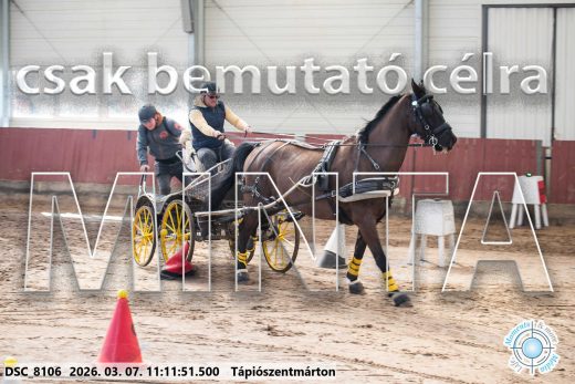 Mintakép 20260307-487