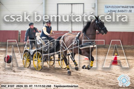 Mintakép 20260307-488