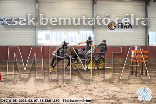 Mintakép 20260307-489