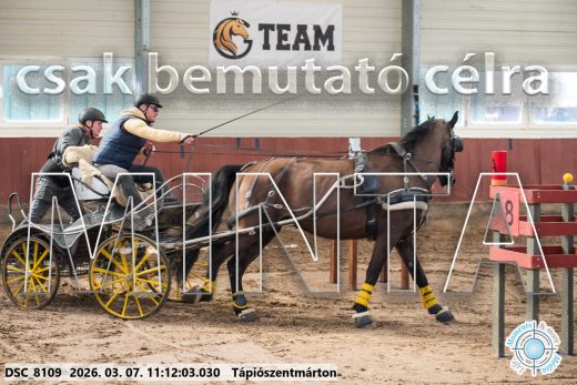 Mintakép 20260307-490