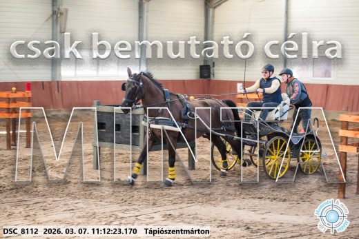Mintakép 20260307-493