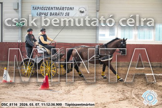 Mintakép 20260307-496