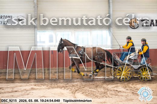 Mintakép 20260308-62