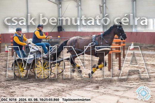 Mintakép 20260308-63