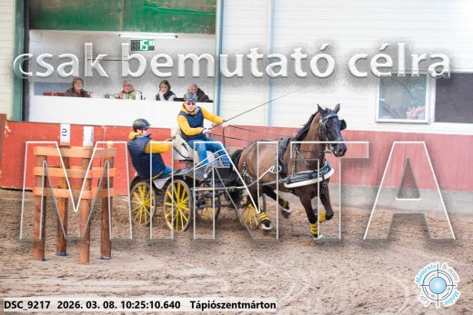 Mintakép 20260308-64