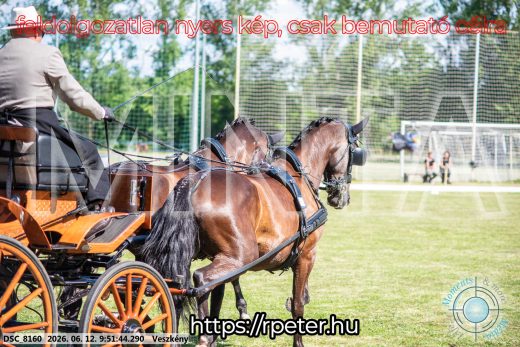Mintakép 20260612-344