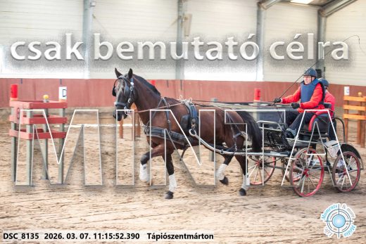 Mintakép 20260307-512