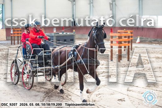 Mintakép 20260308-65