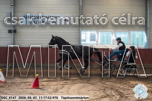 Mintakép 20260307-521