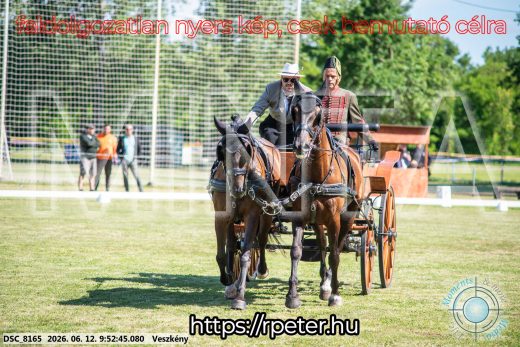 Mintakép 20260612-347
