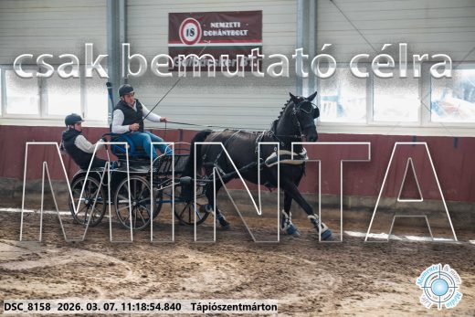 Mintakép 20260307-529