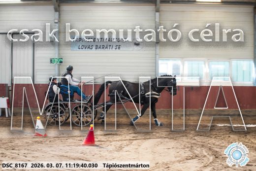 Mintakép 20260307-535