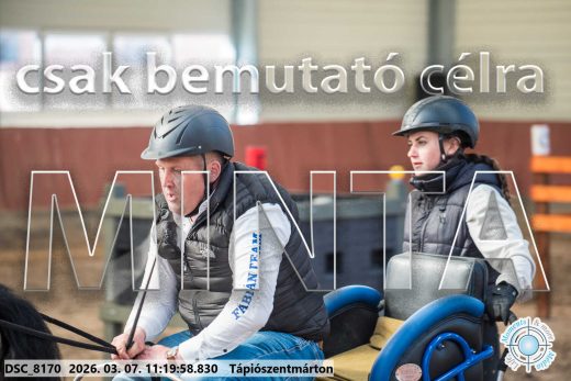 Mintakép 20260307-537