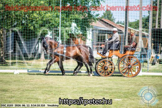 Mintakép 20260612-348
