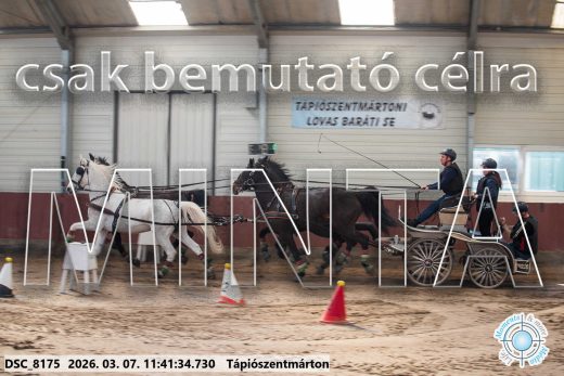 Mintakép 20260307-541