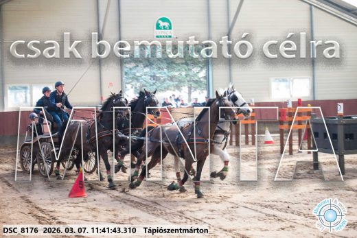 Mintakép 20260307-542