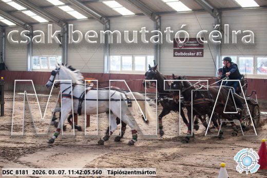 Mintakép 20260307-545