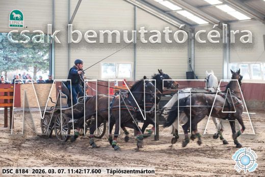Mintakép 20260307-548