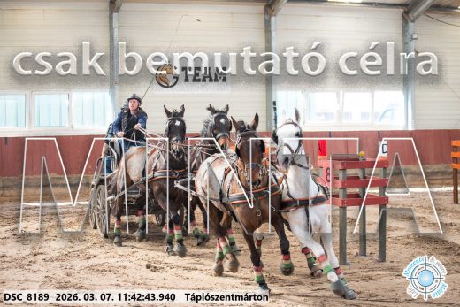 Mintakép 20260307-553