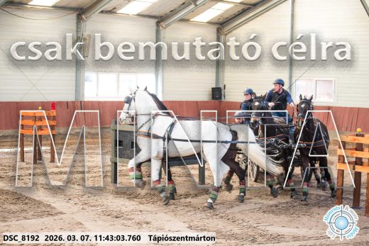 Mintakép 20260307-556