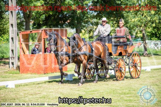 Mintakép 20260612-350