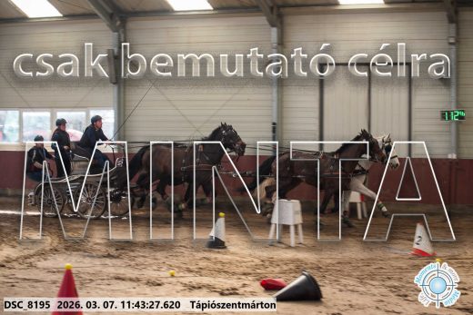 Mintakép 20260307-559