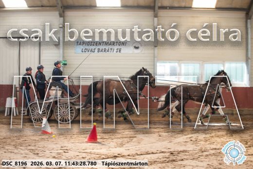 Mintakép 20260307-560