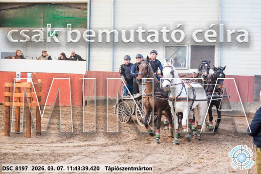 Mintakép 20260307-561