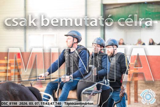 Mintakép 20260307-562