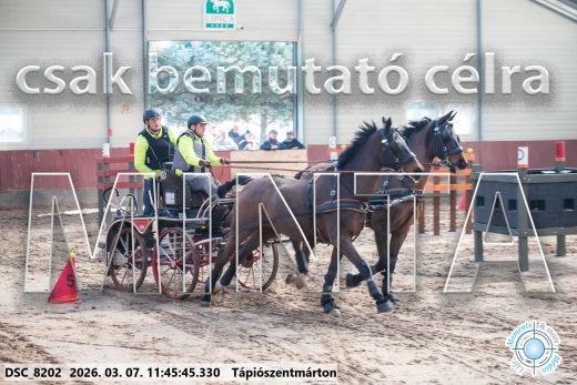 Mintakép 20260307-566