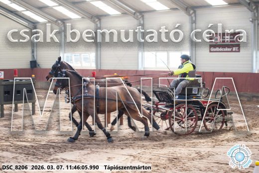 Mintakép 20260307-570